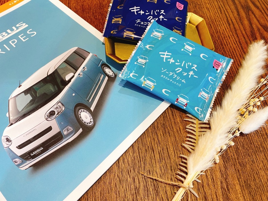 CANBUS COOKIES
